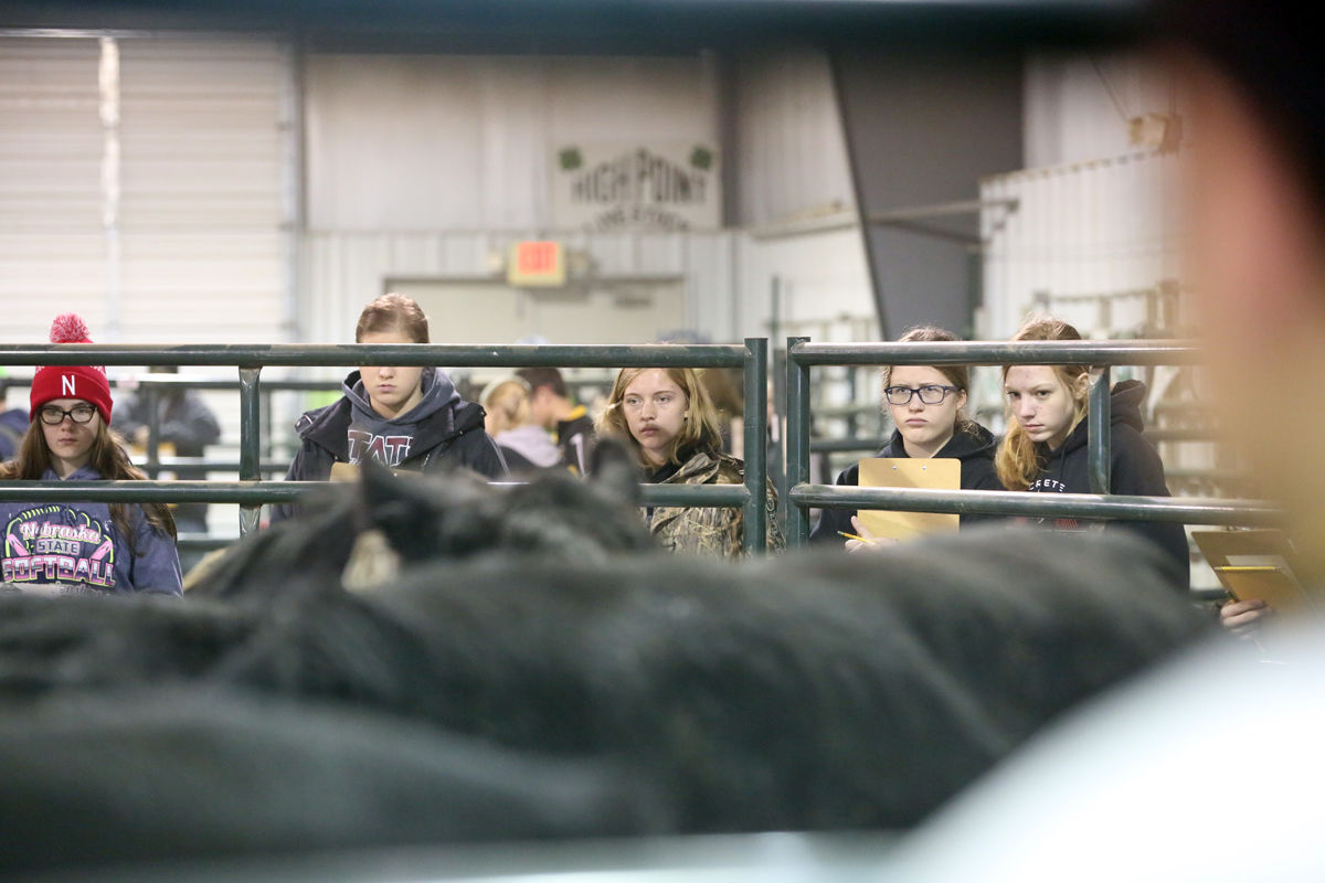 FFA Livestock Judging (13).JPG